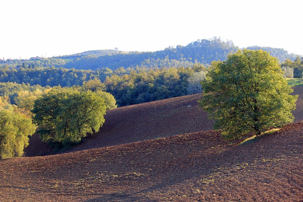 Agriturismo Santa Maria Torrita di Siena Exterior foto